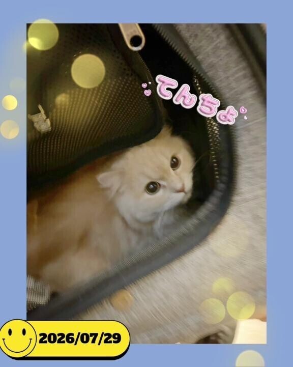 ??出勤です！