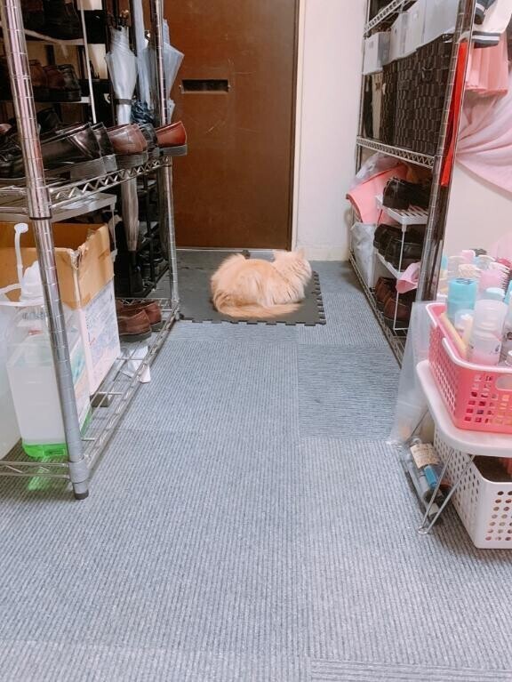 出勤?