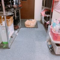 ベリー