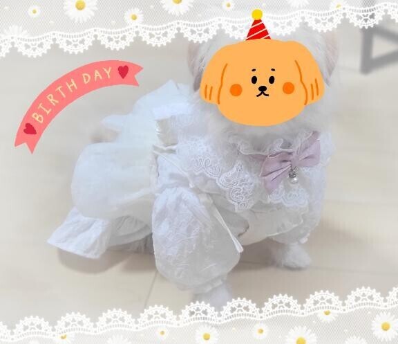 たいきんしました??