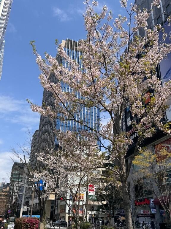 ハルヒだよ！