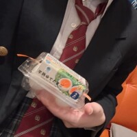 すいせい