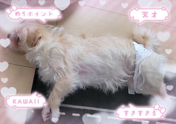 18時まで?