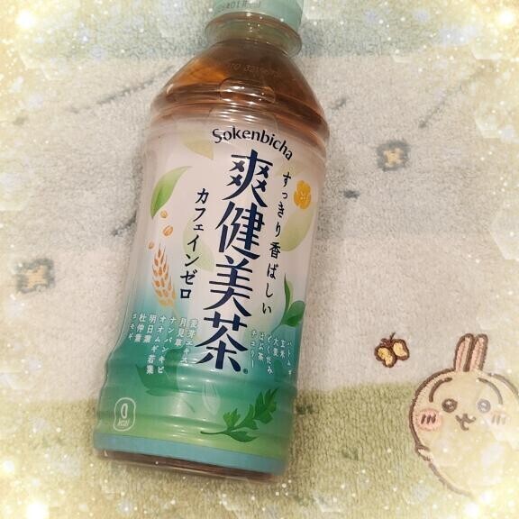 ( ´ ▽ ` )