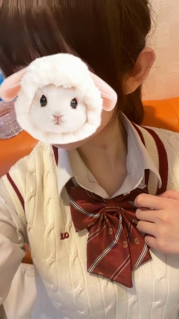 予定