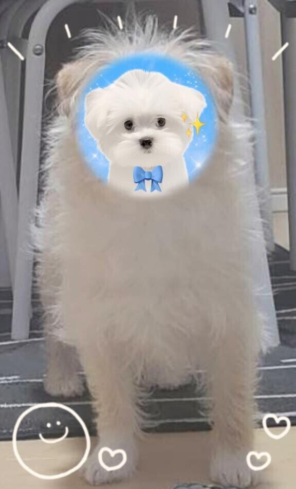 ゆったり?