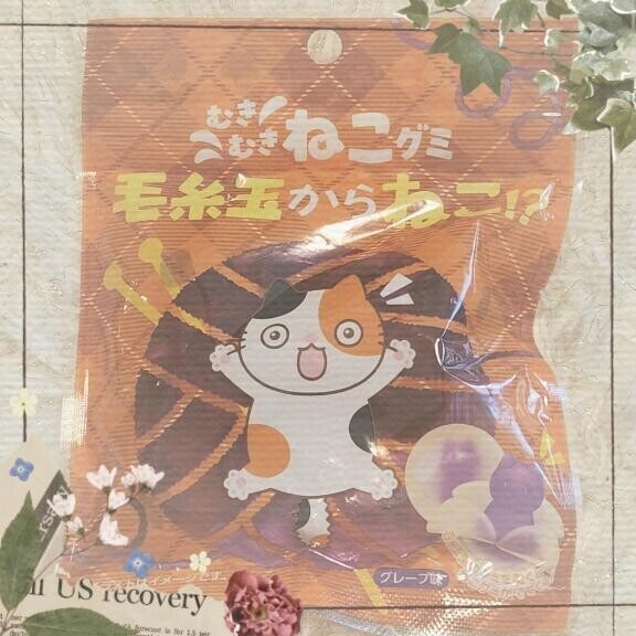 ?( 'ω' )?