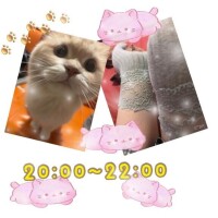 あんく