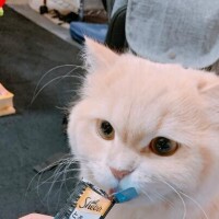 ベリー