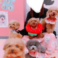ベリー