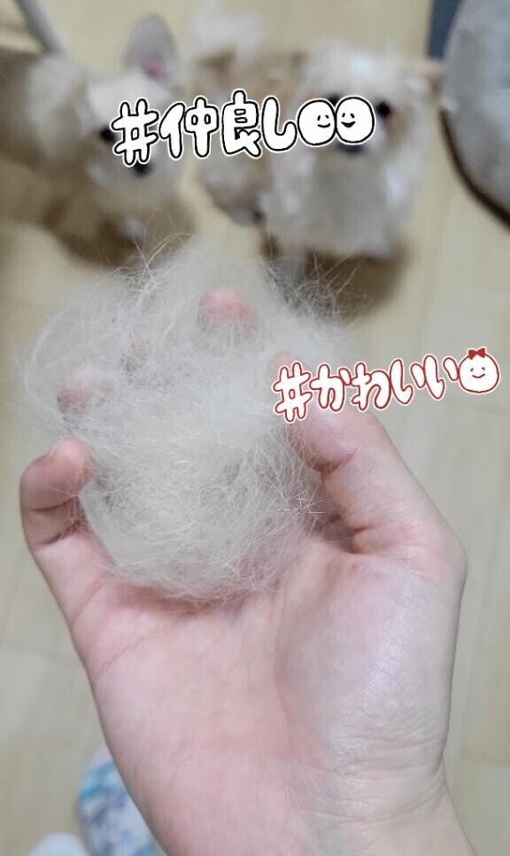 けだま