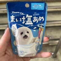 ステラ