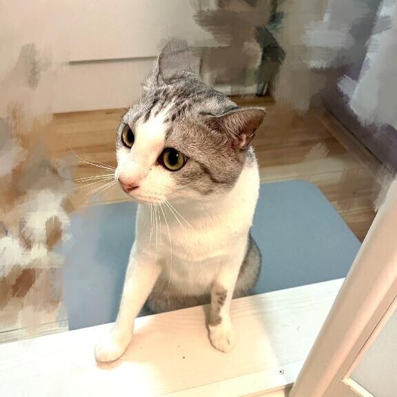 食べたかったもの