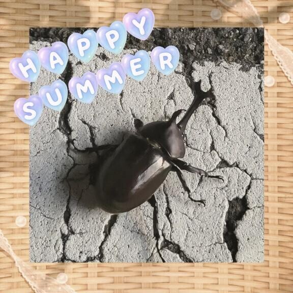 かぶとむし