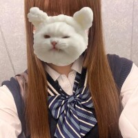 チーズ