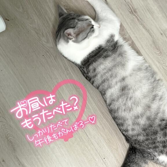 暑い日々