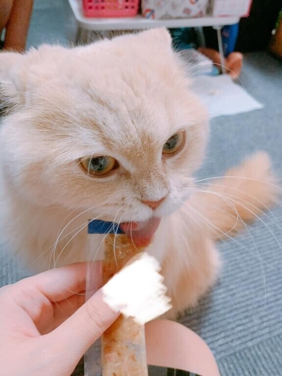 出勤?