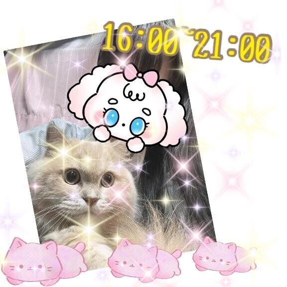 ドタバタあわわわ?