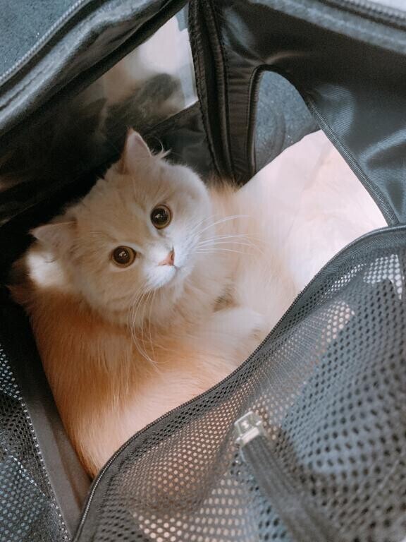 出勤?