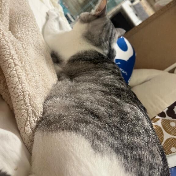お腹痛くて