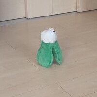 ふぇあれでぃ