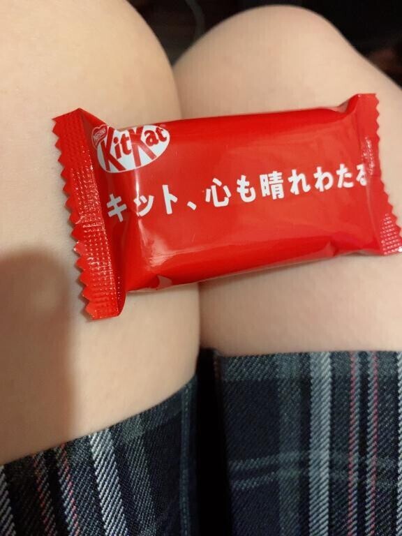 菊花賞 みたよ！