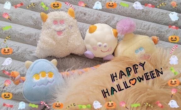 わんこのおもちゃ?