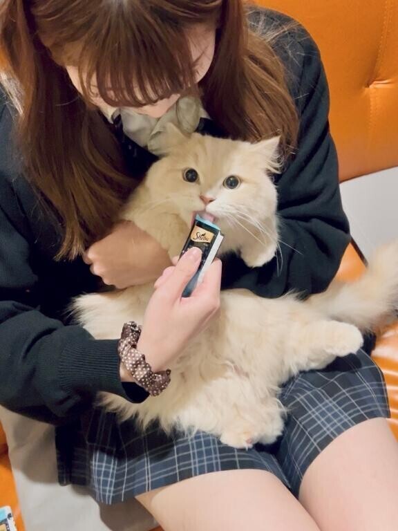 出勤しました～?