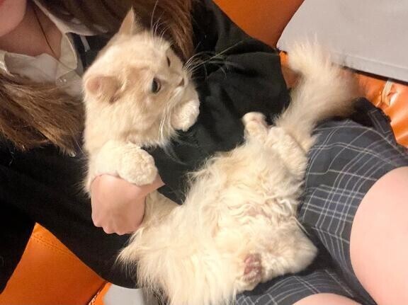 今日は長くいるよ?