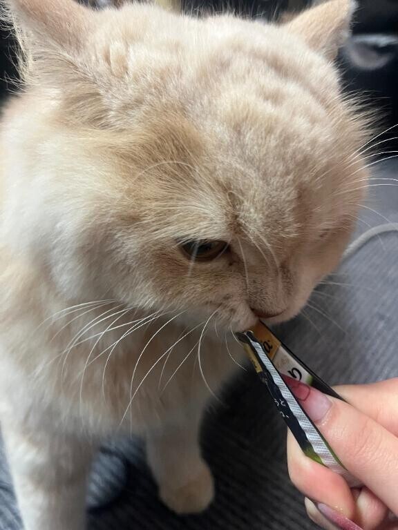 ちょっと久しぶり