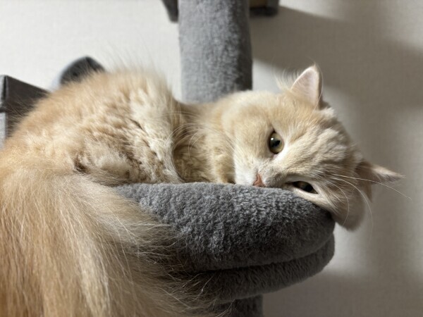 明日時間変更します?