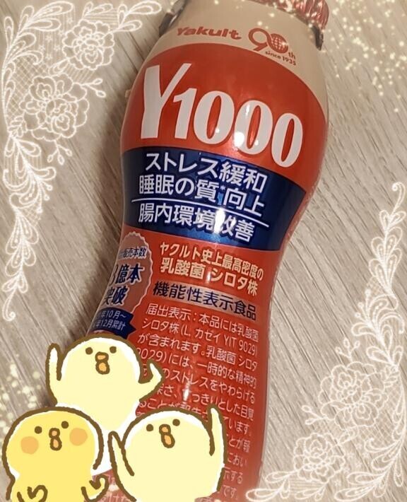 今日も張り切って