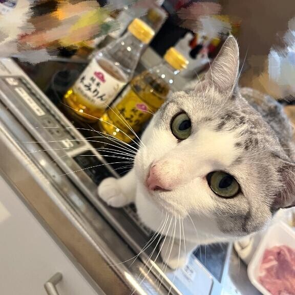 久しぶりに料理した！