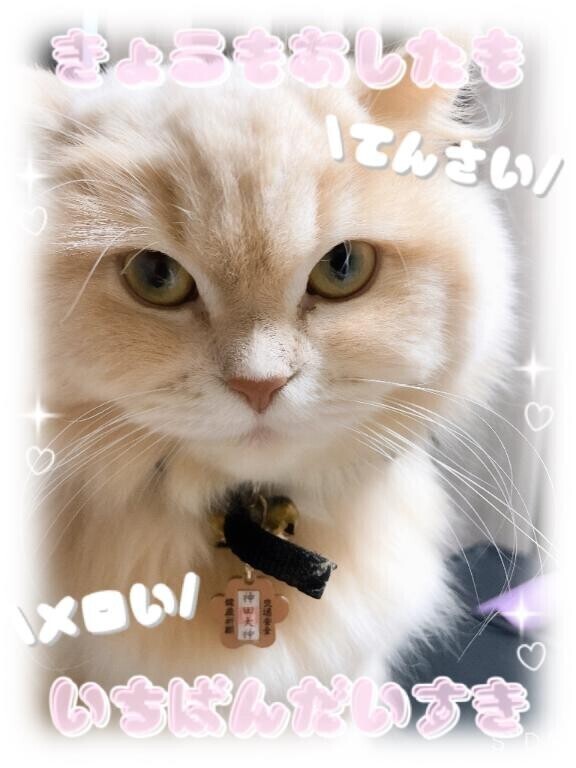 今日もありがとう?