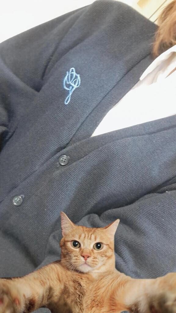 出勤しました??????