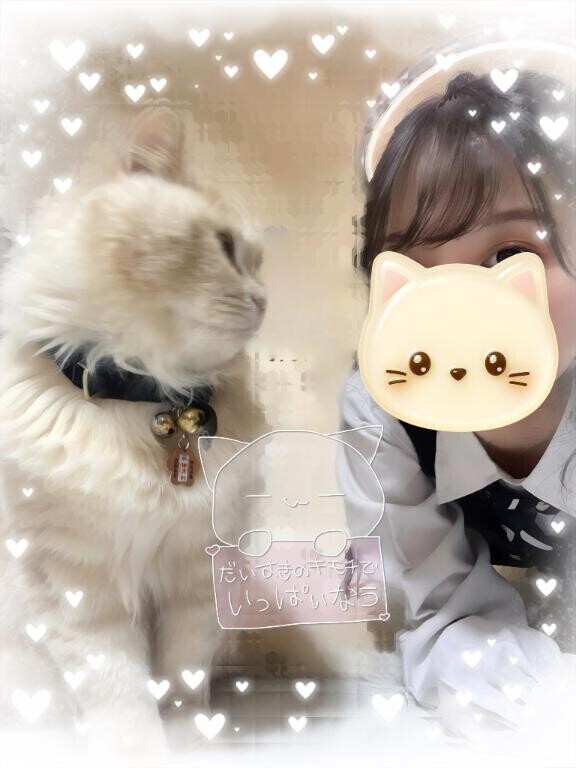 まだ距離があるにゃ?