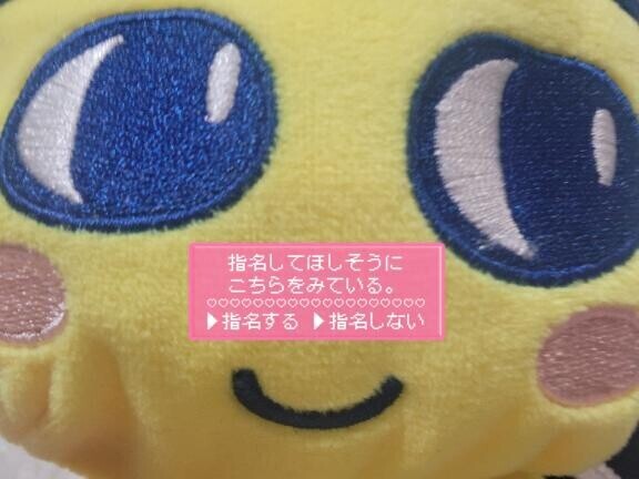 たいきん！！！