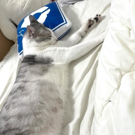 おはようございます！