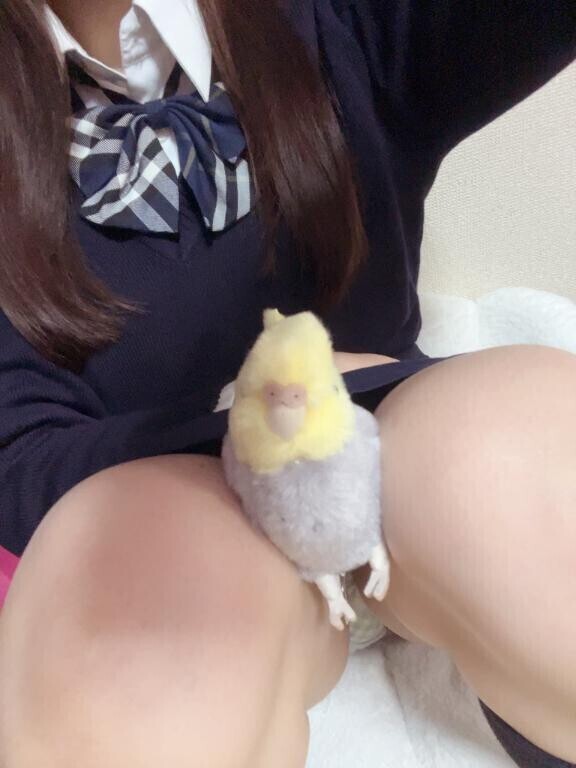 鳥挟んでる