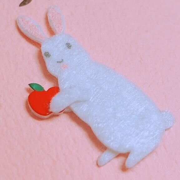 来週のよてい???