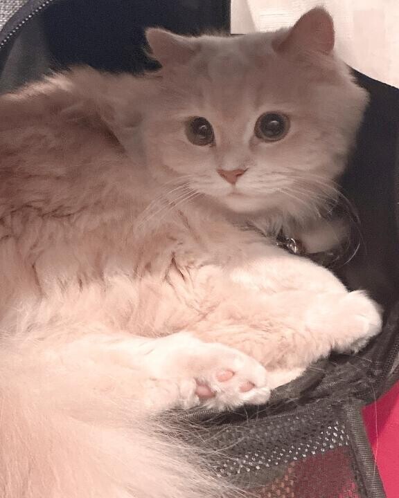 今日もありがとねっ