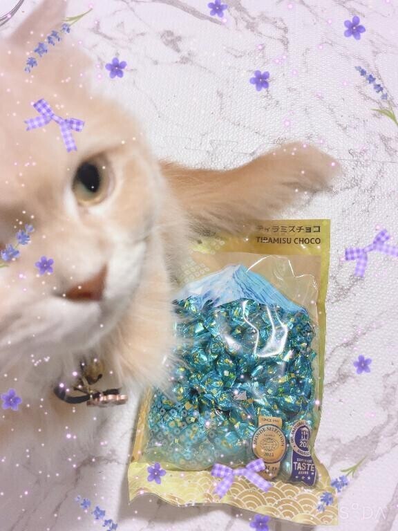 今日もありがとう?