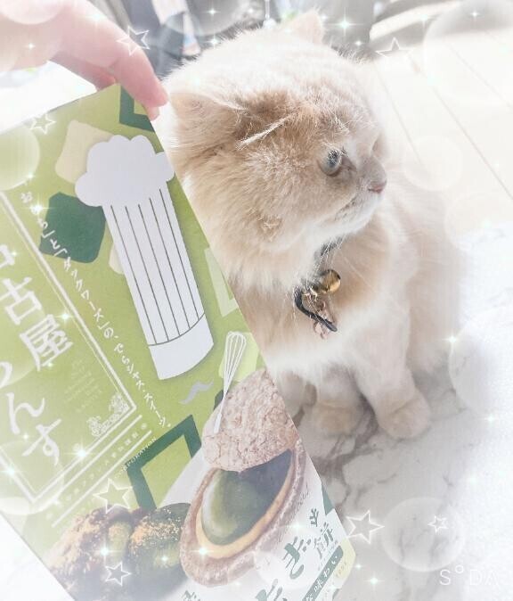 今日もありがとう??