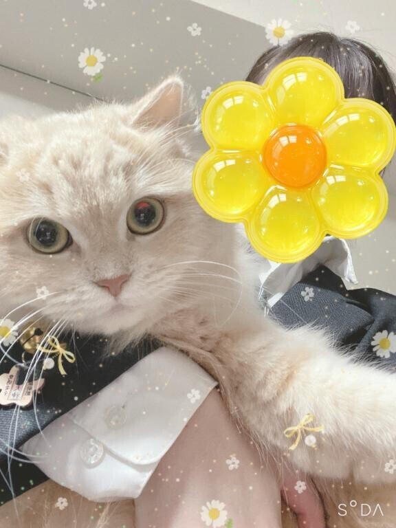 抱っこいやいや?