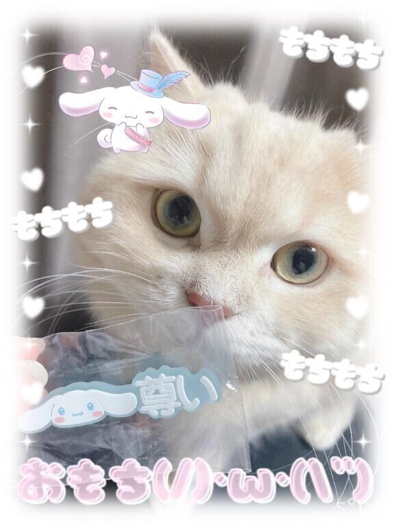推しからの??