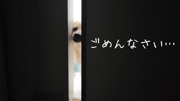 あしたはいます?