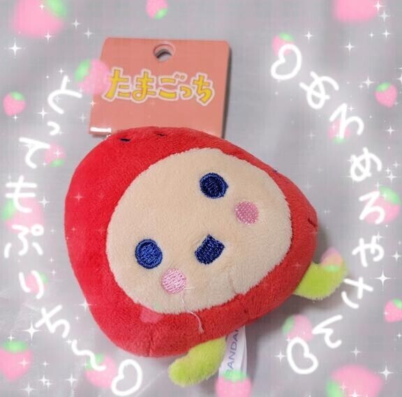 たいきん！！！