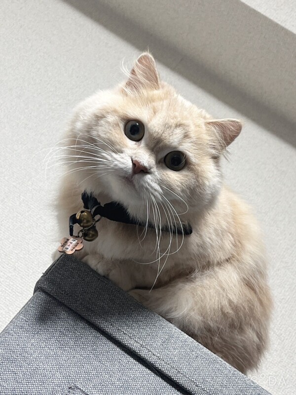 9日シフト変更です?