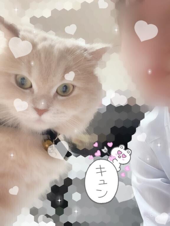 ありがとう?