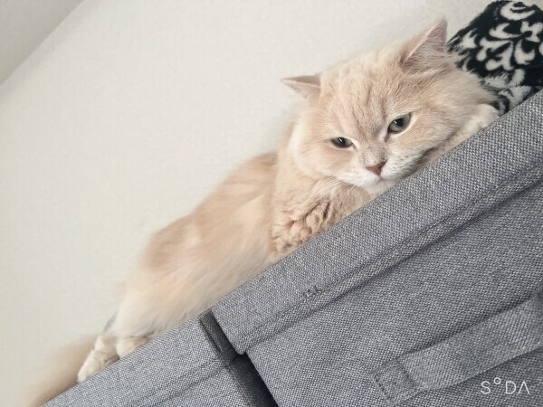 明日時間変更します?